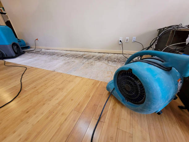 Professional Ceiling Water Damage Repair technician working in Cambridge, IL