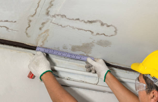 Affordable Ceiling Water Damage Repair solutions in Cambridge, IL